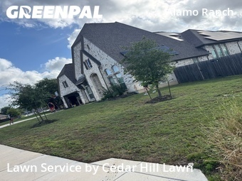 Lawn Cut nearby San Antonio, TX, 