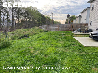 Lawn Cut nearby Charlotte, NC, 