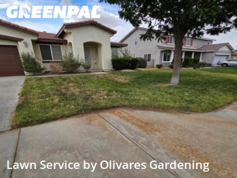 affordable-lawn-services-in-Los Angeles-CA