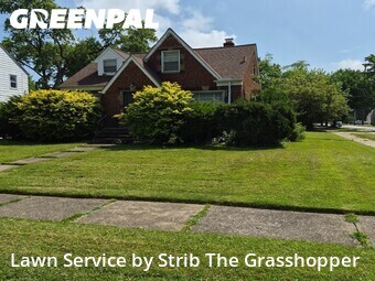 Lawn Cutting nearby Euclid, OH, 