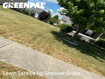 Lawn Care nearby Westfield, IN, 