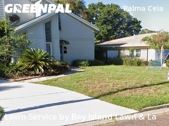 Grass Cut nearby Tampa, FL, 