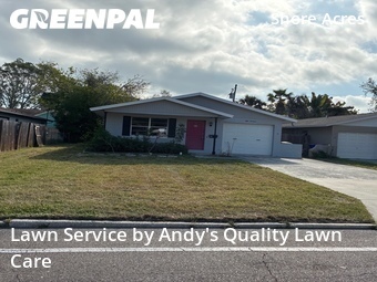 Grass Cutting nearby Saint Petersburg, FL, 