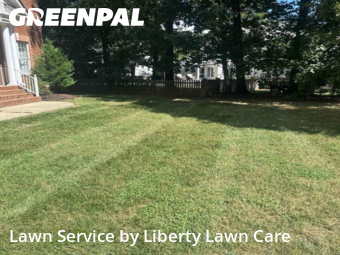 Grass Cutting nearby Mechanicsville, VA, 