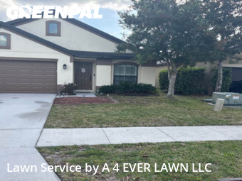 Lawn Care nearby Spring Hill, FL, 