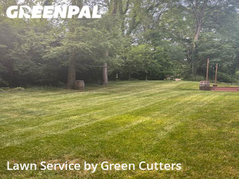 Grass Cut nearby Indianapolis, IN, 