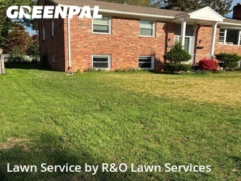 Yard Cutting nearby Potomac, MD, 