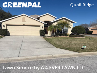 Grass Cutting nearby Spring Hill, FL, 