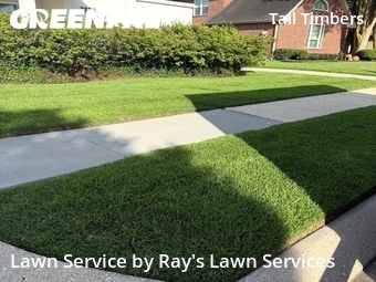Lawn Cut nearby New Orleans, LA, 