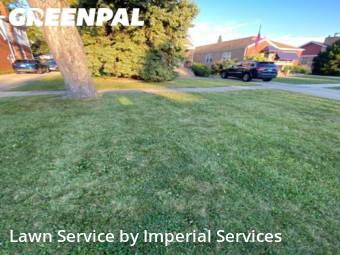 Lawn Cutting nearby Evergreen Park, IL, 