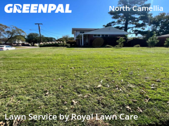 Lawn Maintenance nearby Norfolk, VA, 