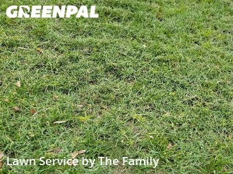 Lawn Cut nearby Deltona, FL, 