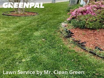 Yard Mowing nearby Baltimore, MD, 