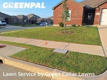 Lawn Maintenance nearby Venus, TX, 