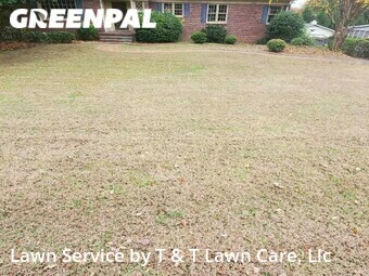 Yard Cutting nearby Greenville, SC, 