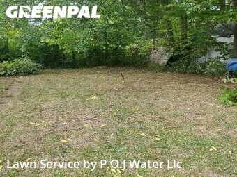 Grass Cut nearby Westland, MI, 