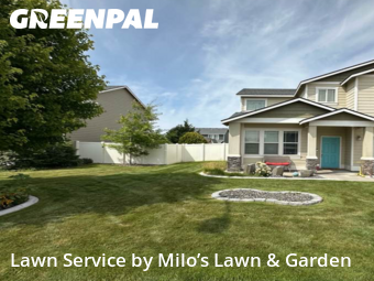 Lawn Management in Pasco, 99301, Grass Care by Milo’s Lawn & Garden, work completed in Nov , 2025