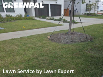 Lawn Carein Frisco,75033,Lawn Cutting by Lawn Expert, work completed in Nov , 2025