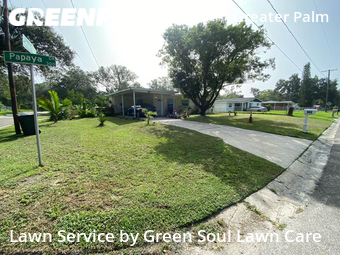 Lawn Service nearby Tampa, FL, 