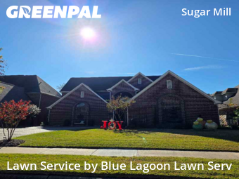 Lawn Servicein Sugar Land,77498,Lawn Mowing by Blue Lagoon Lawn Serv, work completed in Feb , 2026