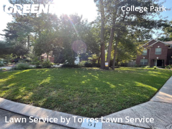 Yard Cutting nearby Conroe, TX, 
