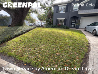 Yard Cutting nearby Tampa, FL, 