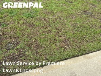 Grass Cutting nearby Pace, FL, 