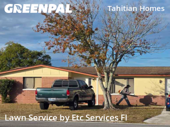 Lawn Management in Holiday, 34691, Grass Services by Etc Services Fl, work completed in Dec , 2025