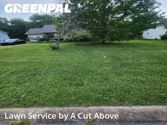 Yard Mowing nearby Smyrna, TN, 