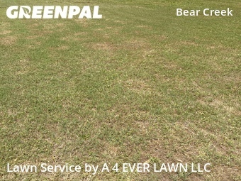Lawn Care nearby New Port Richey, FL, 