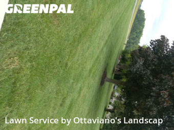 Lawn Care Service nearby Marion, OH, 