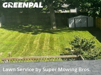 Grass Cutting nearby Grand Ledge, MI, 