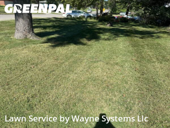 Yard Cutting nearby Columbia, MO, 