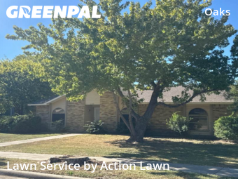 Yard Cutting nearby Garland, TX, 