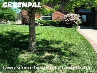 Grass Cutting nearby Amarillo, TX, 