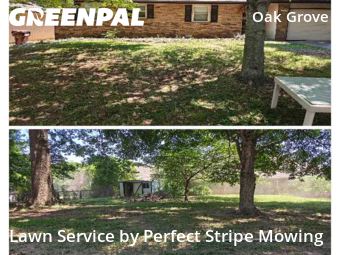 Lawn Cut nearby Springfield, MO, 