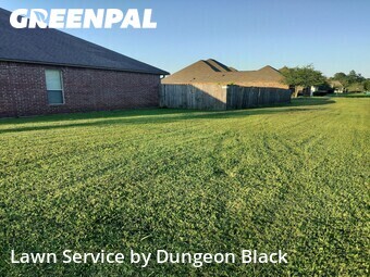 Grass Cut nearby Denham Springs, LA, 