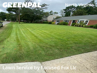 Grass Cut nearby Virginia Beach, VA, 