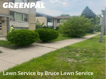 Property Maintenance in Westchester, 60154, Yard Work by Bruce Lawn Service, work completed in Nov , 2025