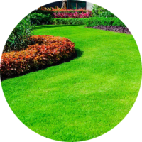 affordable-landscaping-maintenance-services-in-Temple-TX