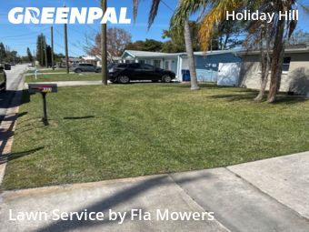 Lawn Mow nearby Port Richey, FL, 