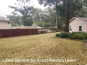 Lawn Work in Ocala, 34471, Lawn Upkeep by Grass Routes Lawn , work completed in Dec , 2025
