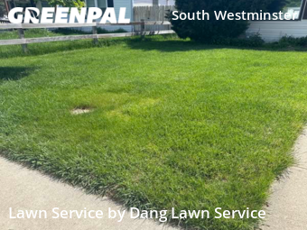 Grass Cutting nearby Westminster, CO, 