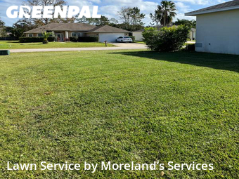 Lawn Care nearby Palm Coast, FL, 