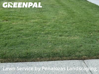 Lawn Mowing nearby Cumming, GA, 