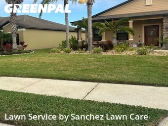Lawn Cut nearby Palmetto, FL, 