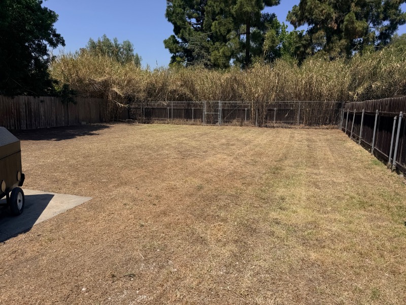 Lawn mowing work by South Cal Landscaping in Ocean Beach, CA