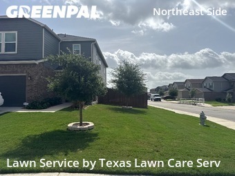 Yard Cutting nearby San Antonio, TX, 