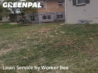 Grass Cut nearby Denver, CO, 