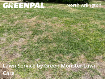 Lawn Mowing nearby Arlington, TX, 